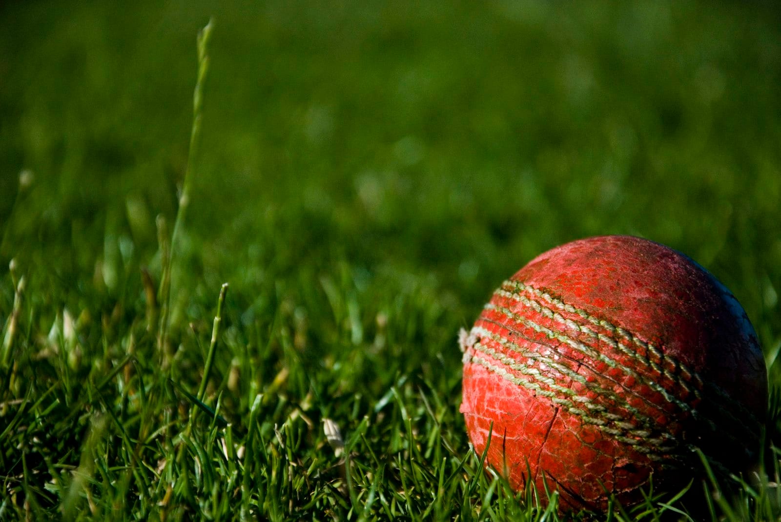 Cricket match under way on a green field